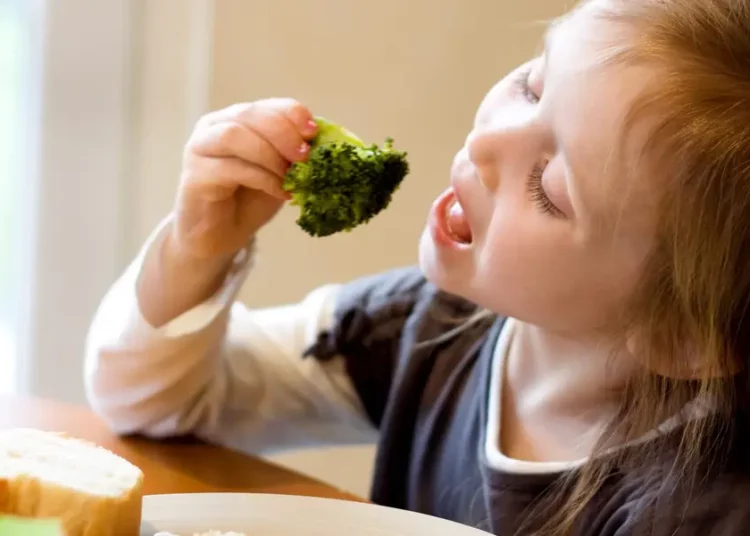 Finding Food for Kids While Travelling