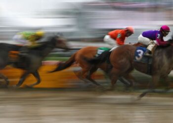 Is There a Future for Horse Racing?