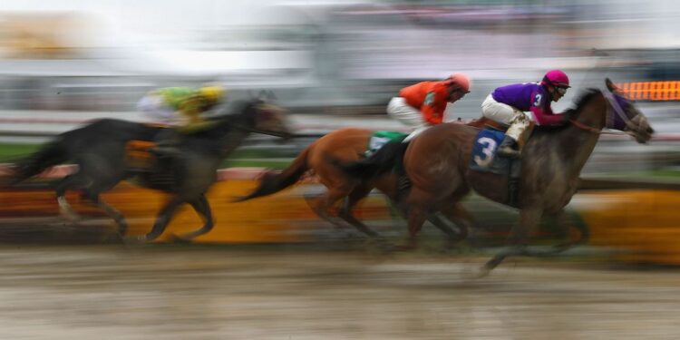 Is There a Future for Horse Racing?